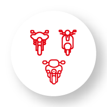 Variedad de modelos QJMOTOR